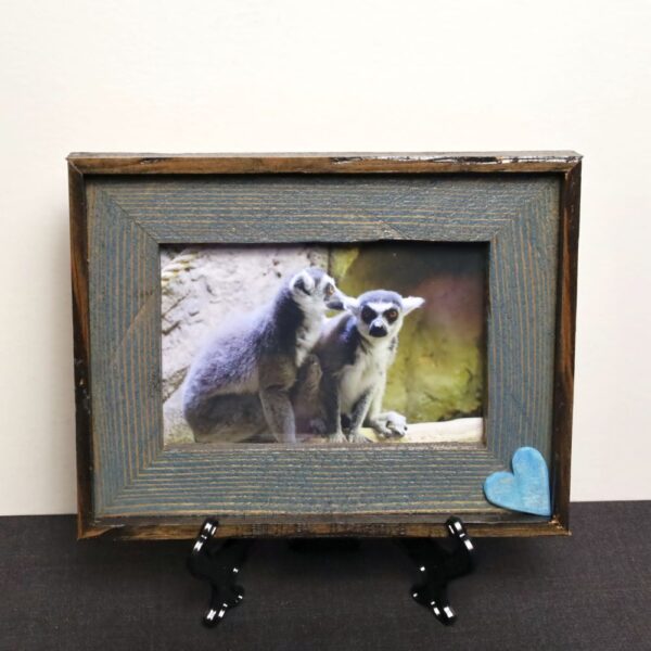 Lemur Love - Image 3