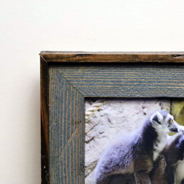 Lemur Love - Image 4