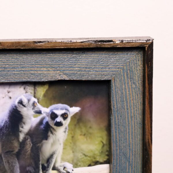 Lemur Love - Image 5