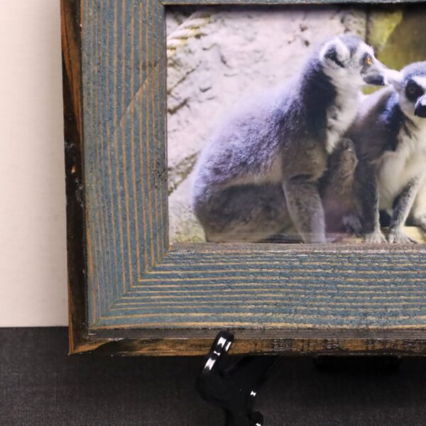 Lemur Love - Image 6