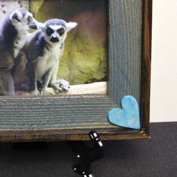 Lemur Love - Image 7