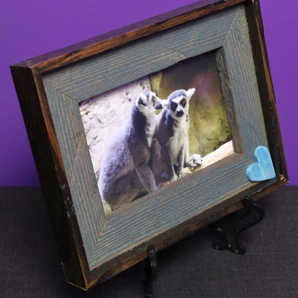 Lemur Love - Image 8