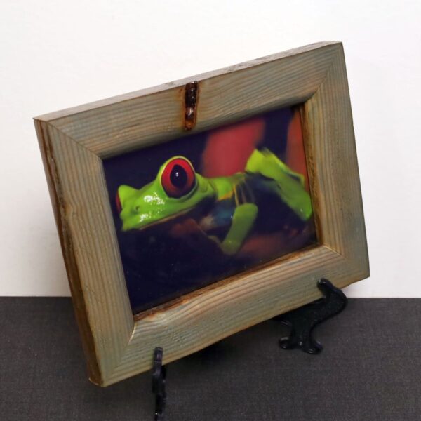 It Ain't Easy Bein Green - Image 3
