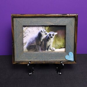 Lemur Love